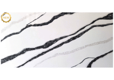 NCA03 – BlackTides