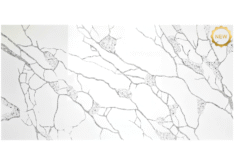 NCA08 – Crystal Fossil