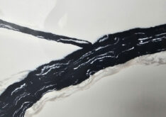 Black Tides