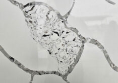 Crystal Fossil