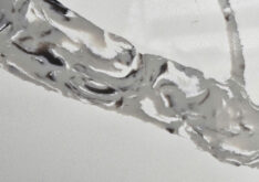 Crystal Fossil