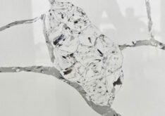 Crystal Fossil
