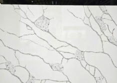 Crystal Fossil