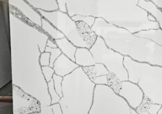 Crystal Fossil